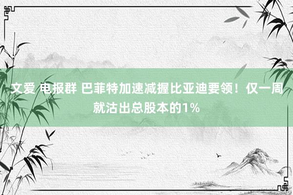文爱 电报群 巴菲特加速减握比亚迪要领！仅一周就沽出总股本的1%
