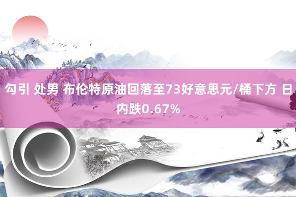 勾引 处男 布伦特原油回落至73好意思元/桶下方 日内跌0.67%