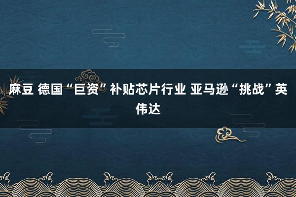 麻豆 德国“巨资”补贴芯片行业 亚马逊“挑战”英伟达