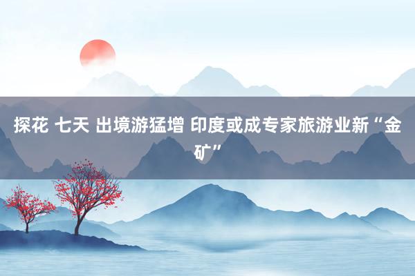 探花 七天 出境游猛增 印度或成专家旅游业新“金矿”