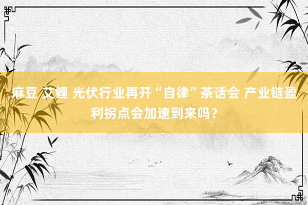 麻豆 艾鲤 光伏行业再开“自律”茶话会 产业链盈利拐点会加速到来吗？