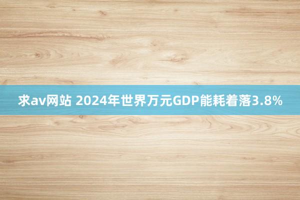 求av网站 2024年世界万元GDP能耗着落3.8%