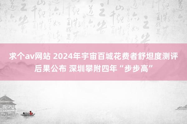 求个av网站 2024年宇宙百城花费者舒坦度测评后果公布 深圳攀附四年“步步高”