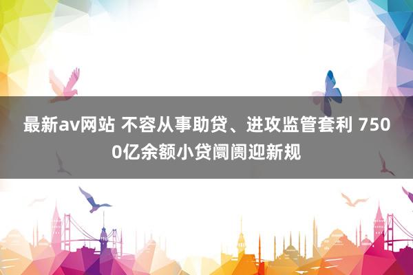 最新av网站 不容从事助贷、进攻监管套利 7500亿余额小贷阛阓迎新规