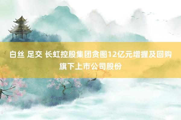 白丝 足交 长虹控股集团贪图12亿元增握及回购旗下上市公司股份